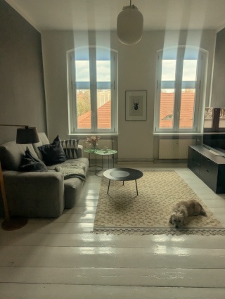wohnhaus in Prenzlauer Berg - Kastanienallee — photo 1