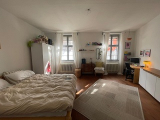 Wunderschöne Altbauwohnung + Garten in zentraler Lage