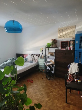 Anzeigenbild: WG Nähe Pasing Bahnhof und Naturschutzgebiet sucht MitbewohnerIn / WG close to Pasing trainstation and nature area looking for roomate