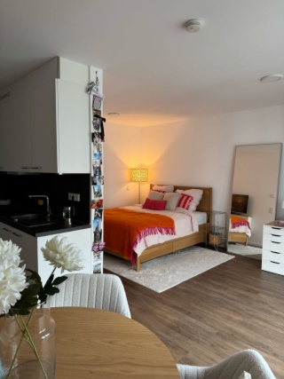 Imagen del anuncio: Untermieterin gesucht! Möblierte 1-Zimmer Wohnung Stadtgrenze Frankfurt / Offenbach Kaiserlei