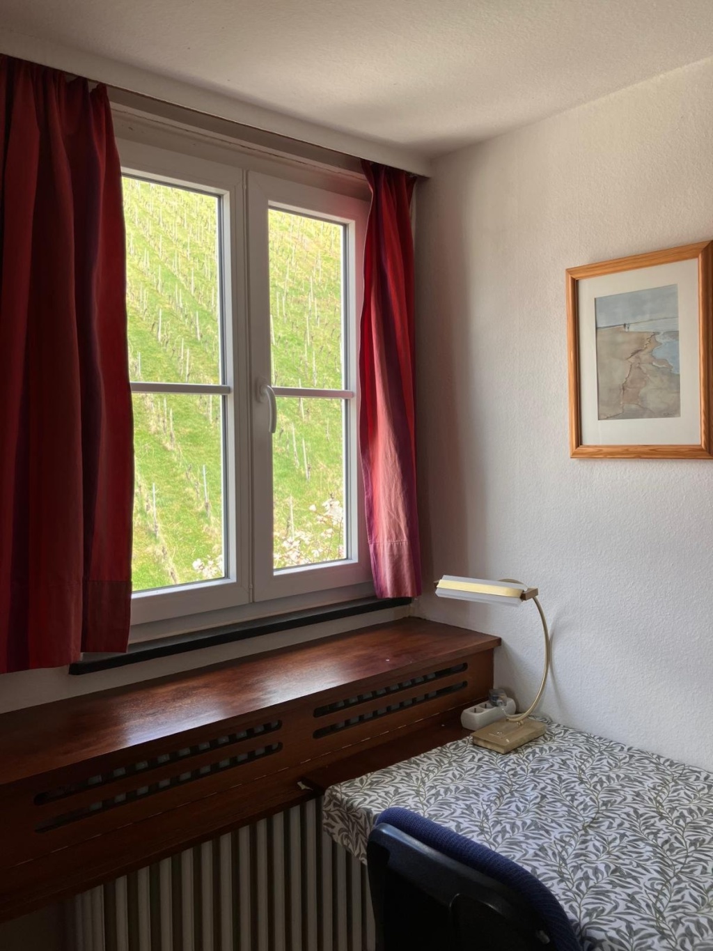 Flatshare Obertürkheim Asangstrasse - Dachzimmer