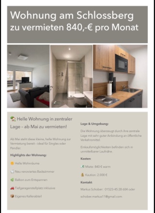 Anzeigenbild: Schöne helle Wohnung Schlossberg