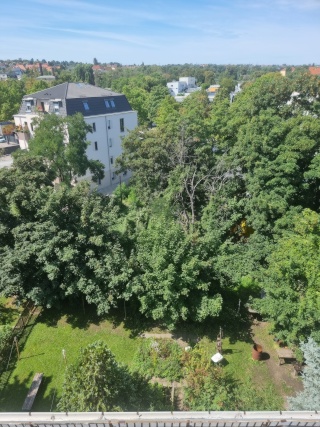 Anzeigenbild: WG Zimmer mit Garten in lebendiger Hausgemeinschaft in Dresden-Löbtau