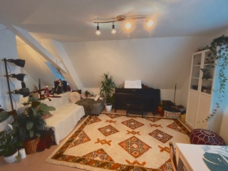 Ad image: Große DG-Wohnung mit Garten in ruhigem, uninahen Wohnviertel (super für Architektur- und Raumplanungsstudis!)