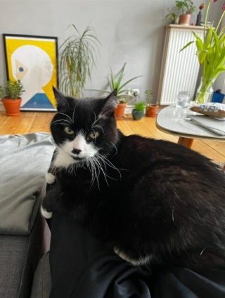 Anzeigenbild