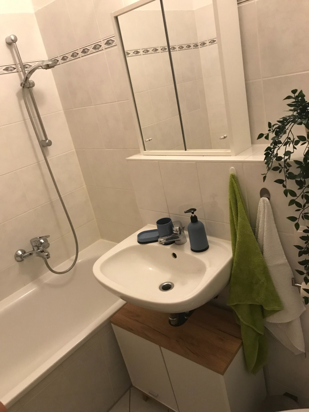 Möbl. 1-Zi-Apartment | Potsdam-Stern | 27 m2 | frei ab 15.8. – Patrizierweg, 14480 Potsdam Am Stern – Vorschaubild 6