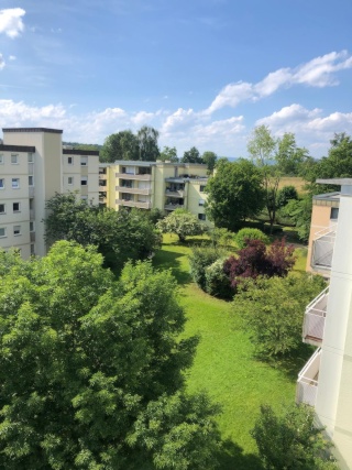 Anzeigenbild: WG Neugründung - 4 Zimmer Wohnung - nahe Uni Konstanz