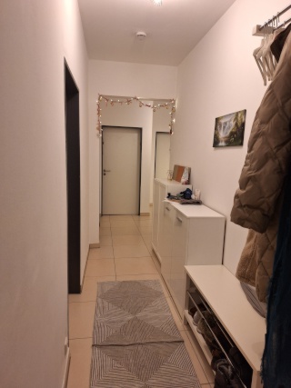 Anzeigenbild: Ruhigen 2er WG sucht neue Mitbewohnerin