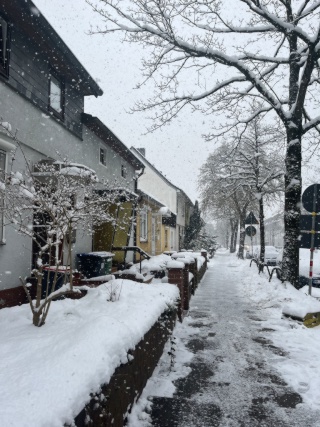 Anzeigenbild