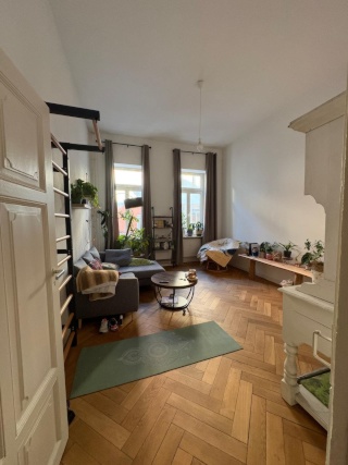 3,5-Zimmer Wohnung mit Balkon in Mannheim Innenstadt/Jungbusch