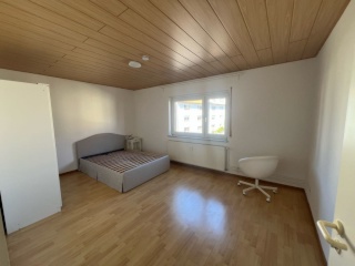 Imagen del anuncio: großes teilmöbliertes Wg-Zimmer in 3er-Wg - gut angebunden (Heidelberg/Mannheim) Befristet mit Möglichkeit auf Verlängerung!!