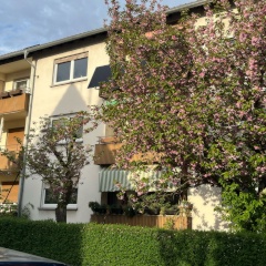 Ad image: 5er Mädchen-WG in Rohrbach Heidelberg