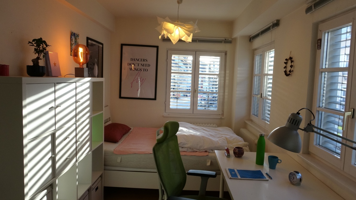 1 Room Flat Altstadt Bachstraße - Wohnzimmer
