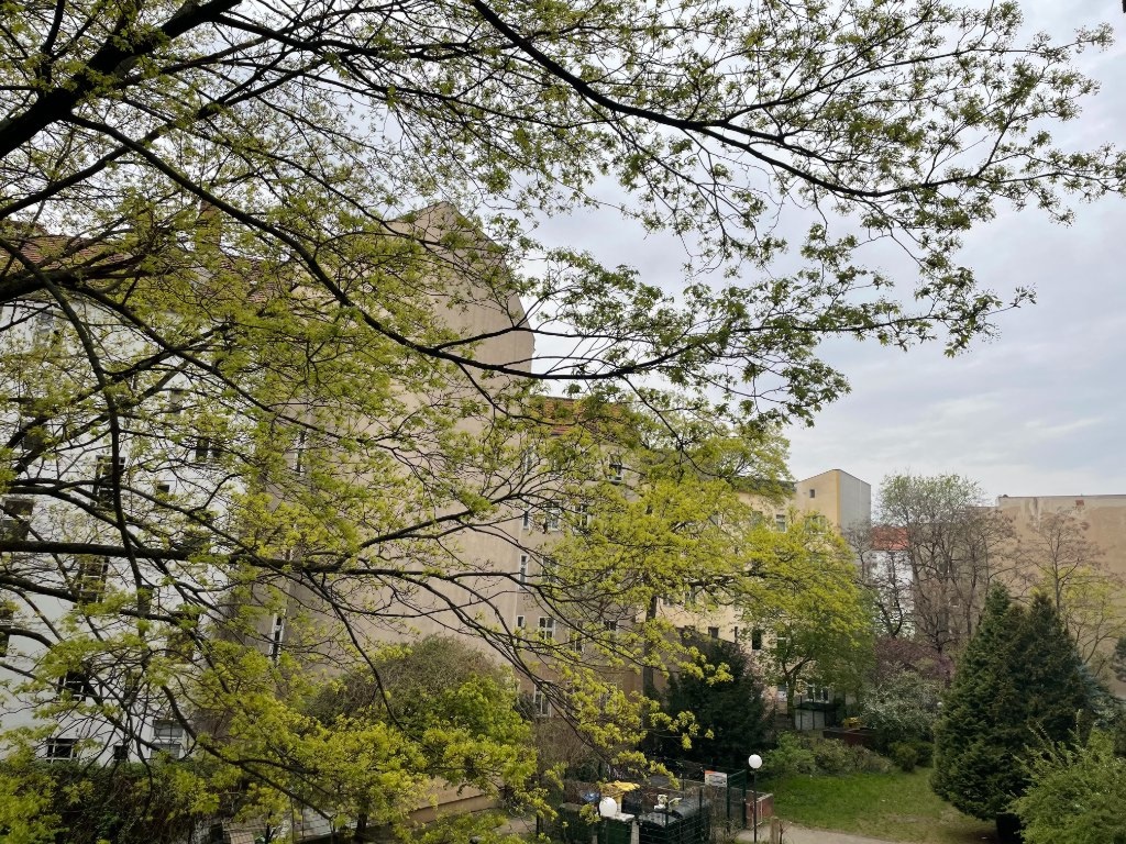 Apartamento Berlin Donaustraße 22 - balcony