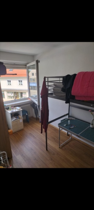 Anzeigenbild: Ruhige Mädels-WG mit zwei Katzen sucht dich