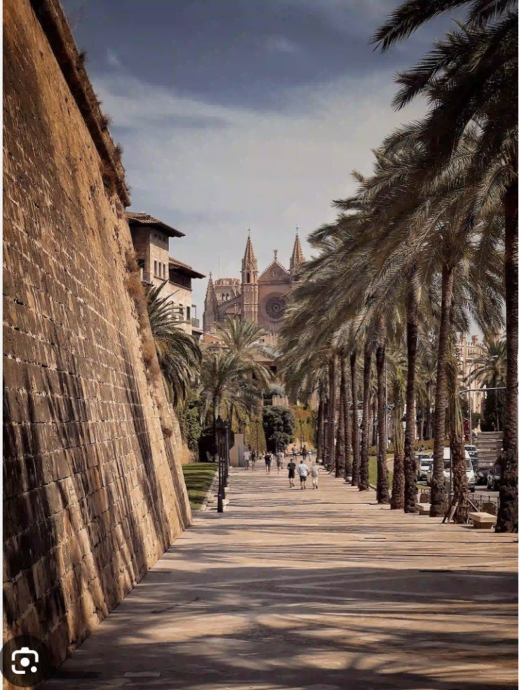 Anzeigenbild: SUCHE WG zimmer für 1-2 monate in palma