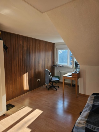 Ad image: Mitbewohner für Neuenheimer Dachterassenwohnung gesucht