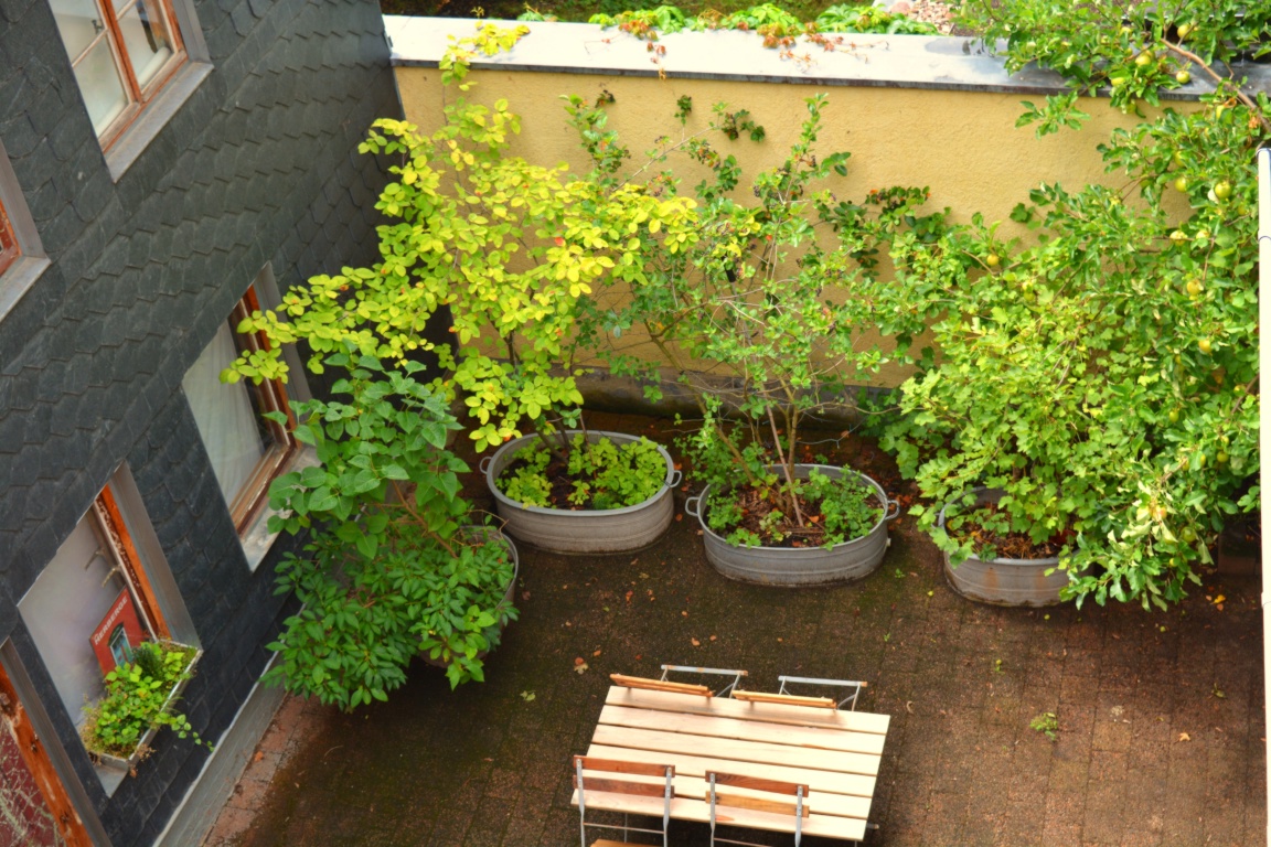 Apartamento Erfurt-Altstadt Moritzstr. - Innenhof
