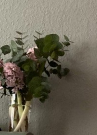 Anzeigenbild: several Months to Weeks / Summer / Flextimes / Temporary / Trust-Based / Happy Home