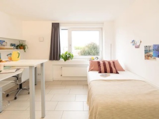 Imagen del anuncio: Studio apartment for rent in Bockenheim from 1st of May