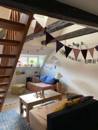 Ad image: Vermiete schöne 1,5 Zimmer Wohnung im Sandgebiet Bambergs ab 1.7.