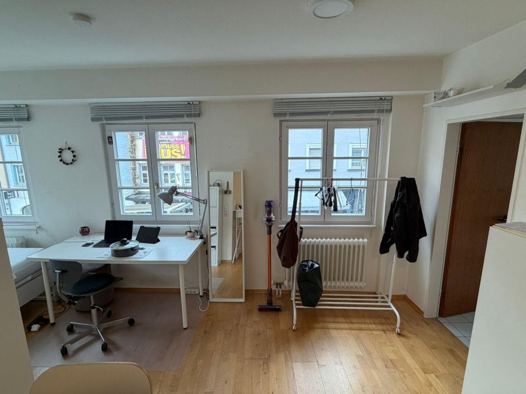 1 Room Flat Altstadt Bachstraße - Wohnzimmer
