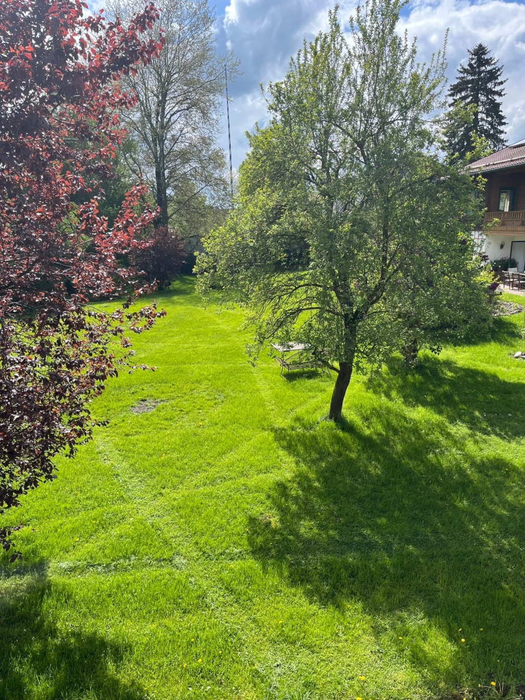 Flat Münster Killistr. 3a - Blick in den Garten