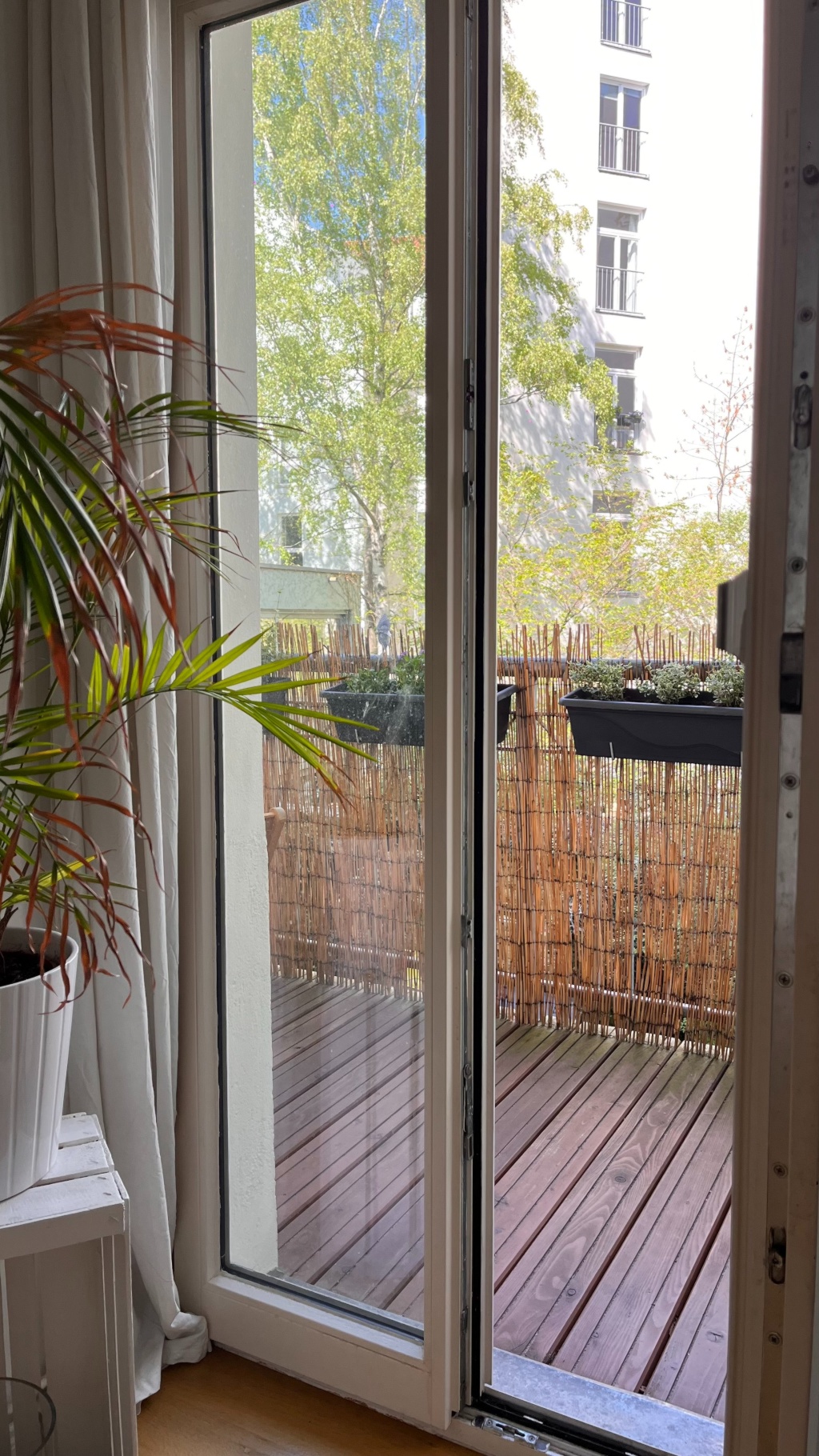 Gemütliche Wohnung im Prenzlauer Berg zur Untermiete (Cozy & bright apartment for 2 weeks subletting) – Straßburger Straße, 10405 Berlin Prenzlauer Berg – Vorschaubild 5