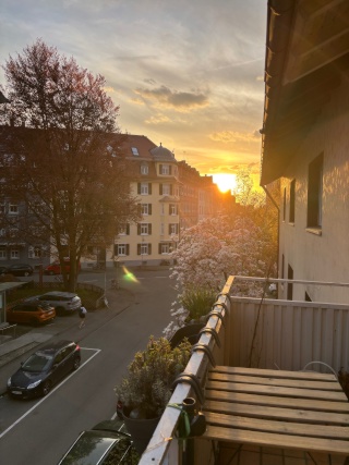 Anzeigenbild: möbliertes Zimmer zur Untermiete