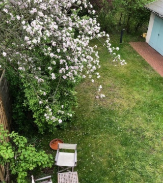 Imagen del anuncio: Anmeldung | S-Bahn & Müggelsee  | Garden | Furnished room