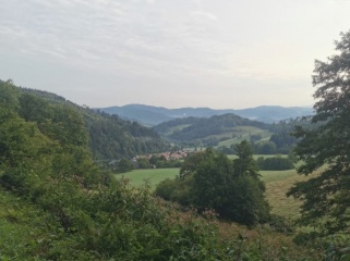Anzeigenbild