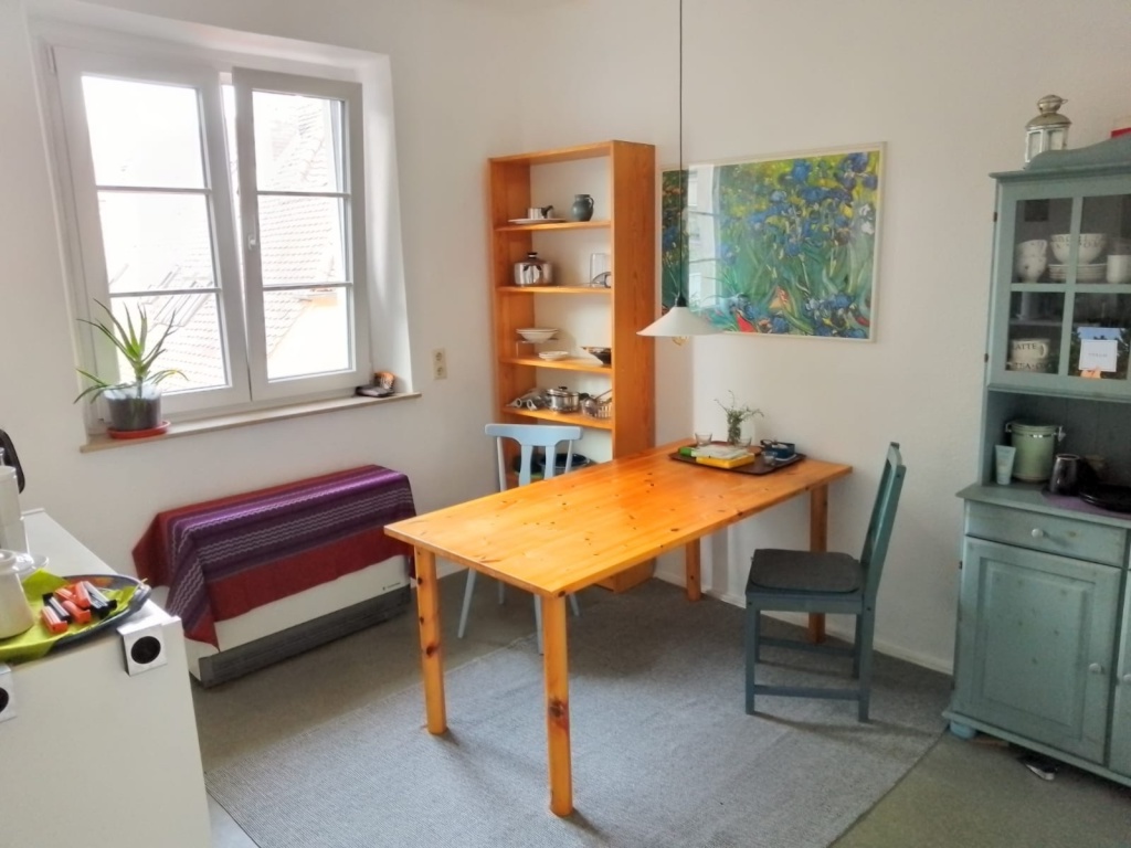 WG-Zimmer Innenstadt Henkestrasse - Küche