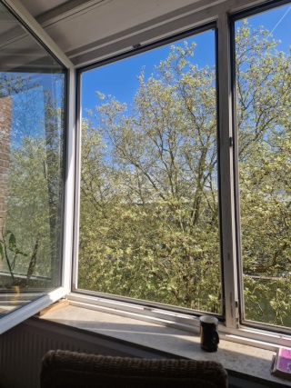 Anzeigenbild: Zwischenmiete: schöne 1-Zimmer Wohnung