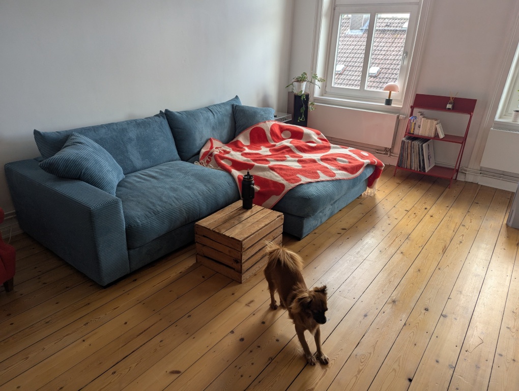 Zwischenmiete im September: sanierte Altbauwohnung auf St. Pauli – Friedrichstr, 20359 Hamburg St. Pauli – Vorschaubild 5