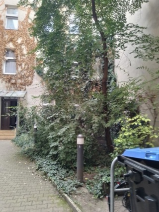 53 qm in Charlottenburg 1.000 Euro + Nebenkosten 250,00 — photo 1