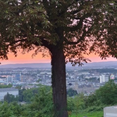 Ad image: Wohnung für Liebhaber in Vallendar/Koblenz