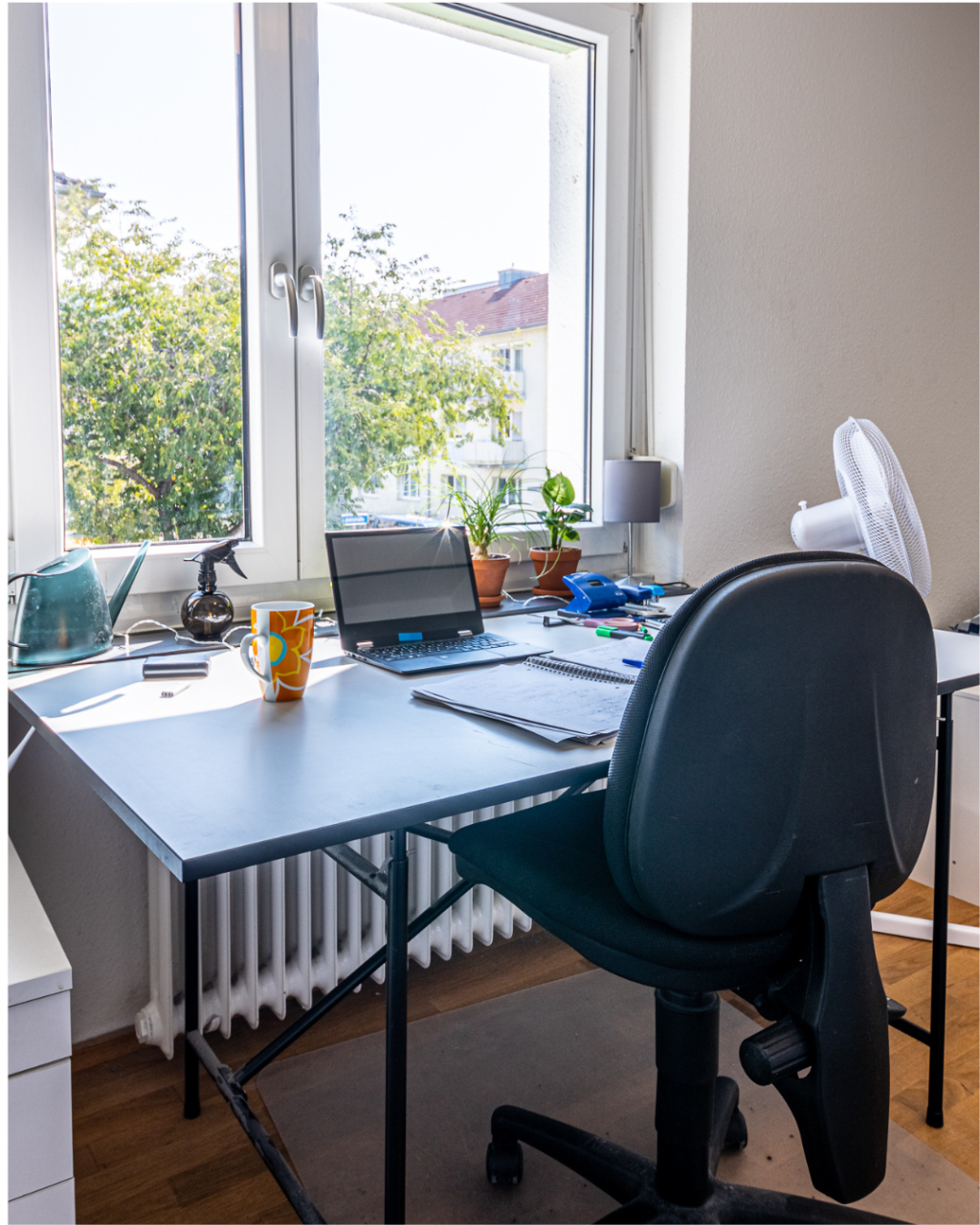 Habitación en WG Instituts-Viertel Rheinstraße 23 - Zimmer | Schreibtisch