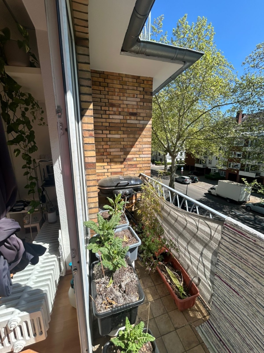 1-Room Apartment in Düsseltal – 40239 Düsseldorf Düsseltal – Vorschaubild 7