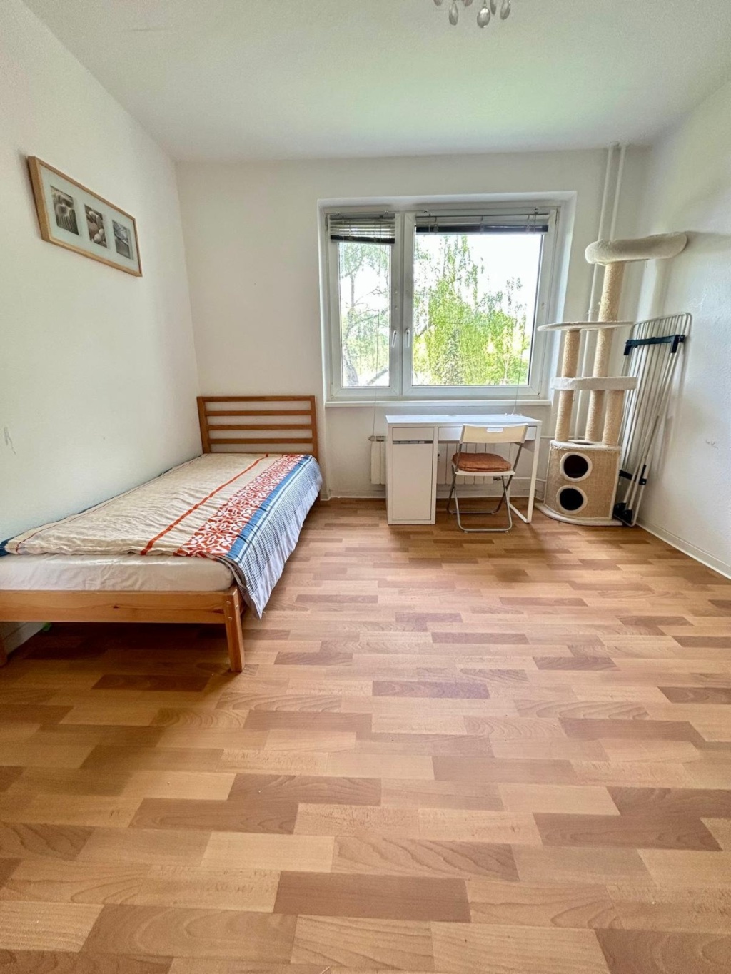WG-Zimmer Plänterwald Am Plänterwald - Bild 2