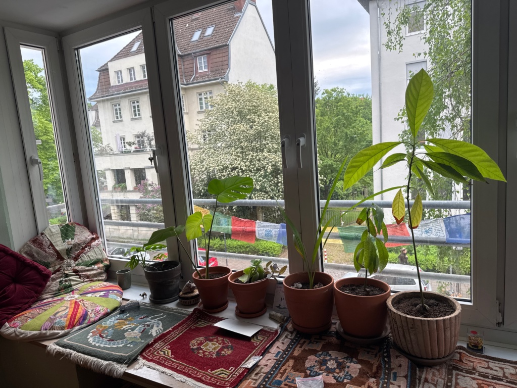 2-3 Zimmer Agnesviertel Zwischenmiete 02.08.-17.08.26 – Hülchrather 33, 50670 Köln Agnesviertel – Vorschaubild 9