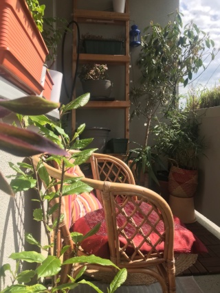 Sunny apartment for 2 weeks sublet in Friedrichshain — photo 1