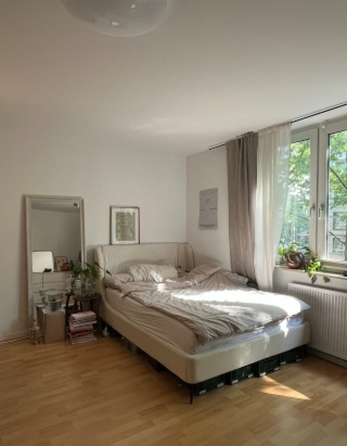 Anzeigenbild: 1 Zimmer Wohnung Mainzer Neustadt