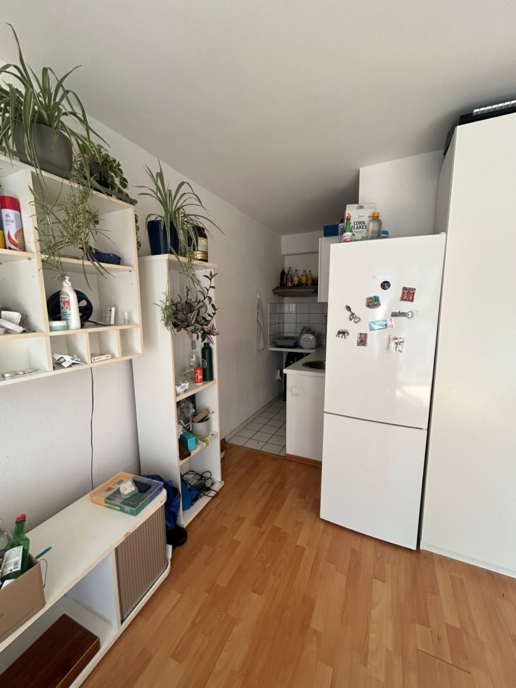 1-Room Apartment in Düsseltal – 40239 Düsseldorf Düsseltal – Vorschaubild 5