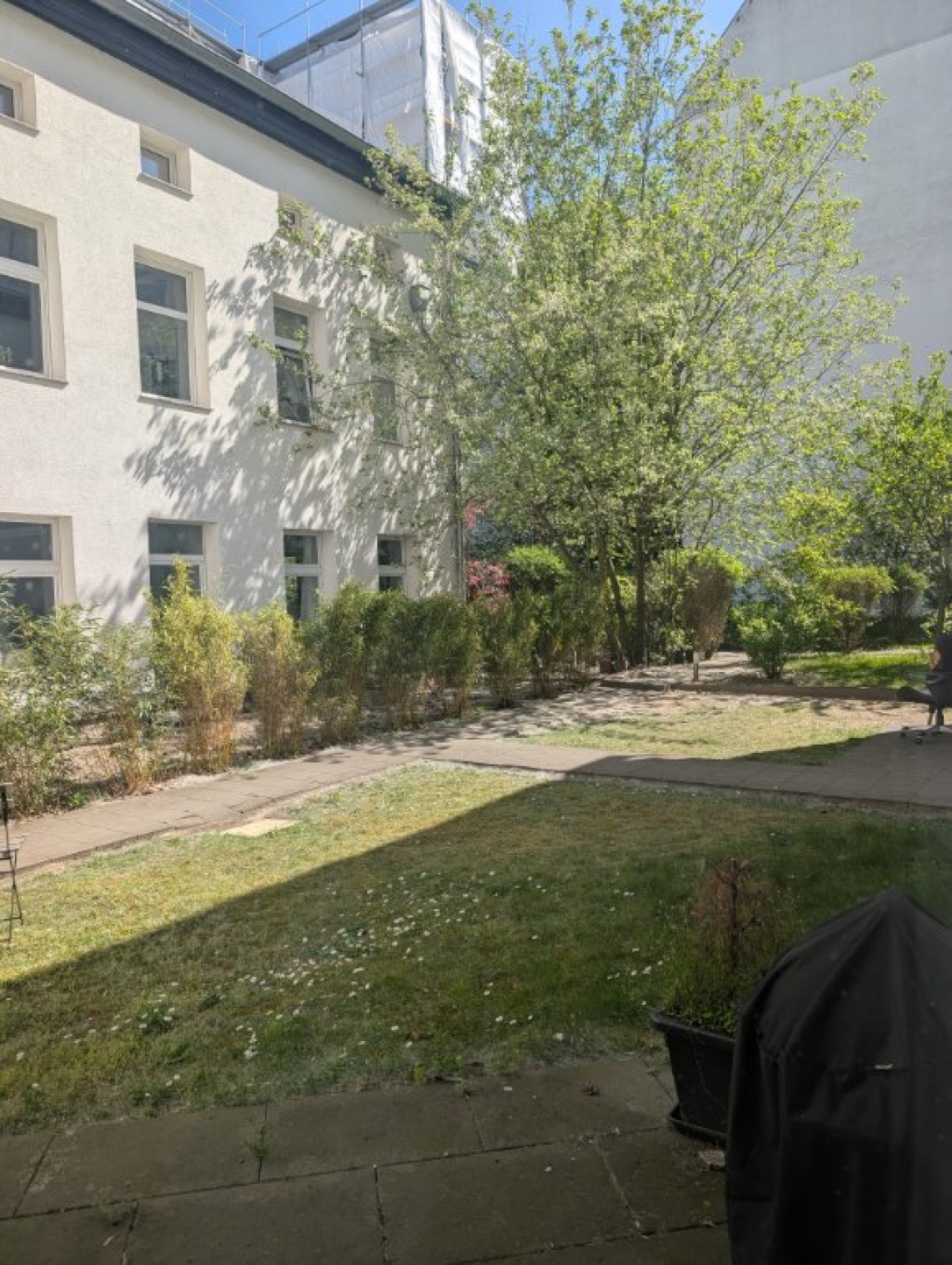 Modern, ruhig & geräumig: Voll möblierte Wohnung mit Gartennutzung (U6 & M13) – Cornelius-Fredericks-Straße 11, 13351 Berlin Wedding – Vorschaubild 11