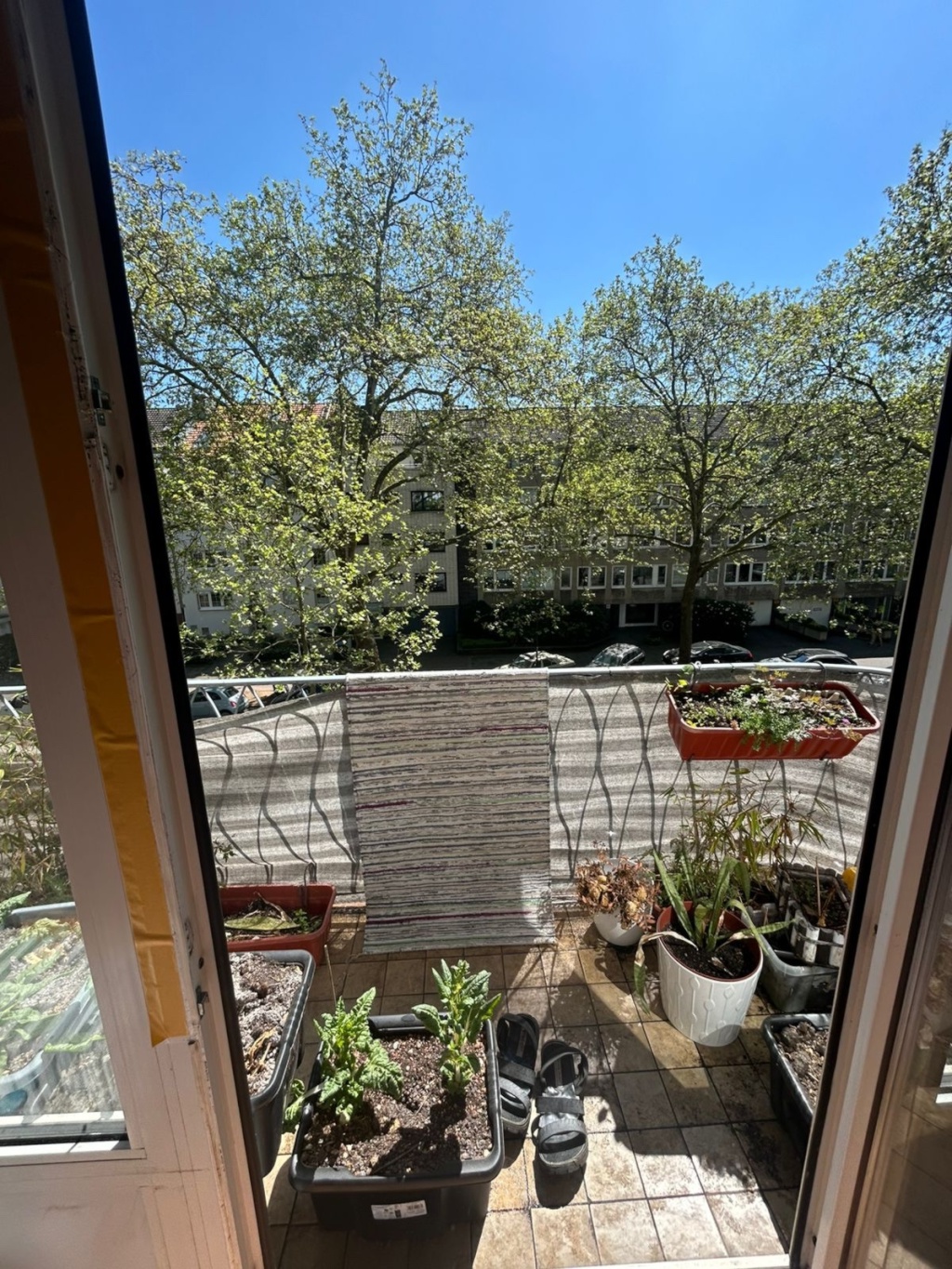 1-Room Apartment in Düsseltal