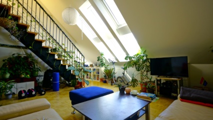 Anzeigenbild: Zimmer in heller und grüner 3er WG von Juli - Dezember frei