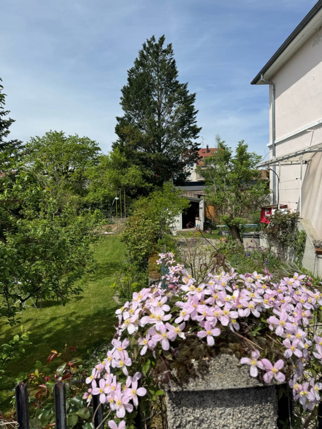 Habitación en WG St. Johann Elsässerstrasse - foto 7