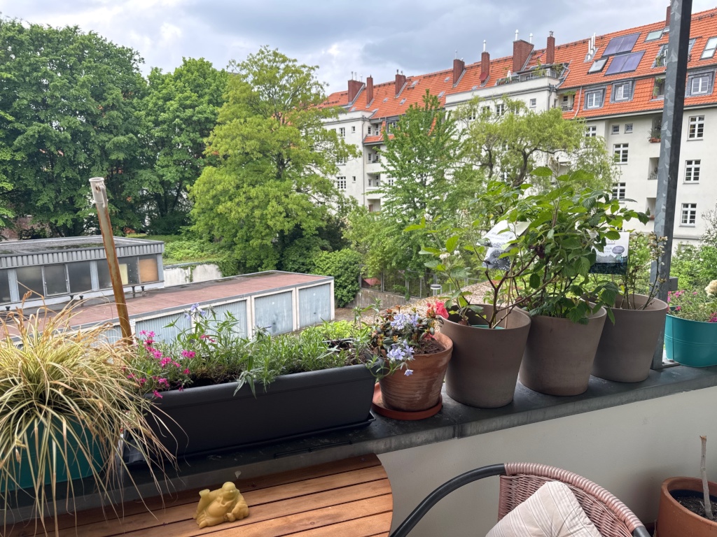 2-3 Zimmer Agnesviertel Zwischenmiete 02.08.-17.08.26 – Hülchrather 33, 50670 Köln Agnesviertel – Vorschaubild 7
