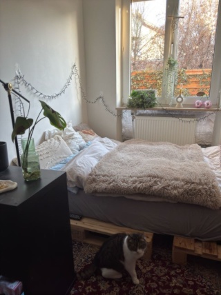 Imagen del anuncio: 10 m2 Zimmer in schöner 10er WG