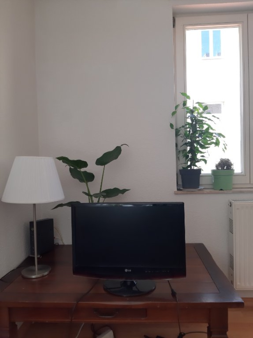 Helle 2-Zimmer-Wohnung in Dresden Neustadt – Königsbrücker Straße 50, 1099 Dresden Äußere Neustadt – Vorschaubild 5